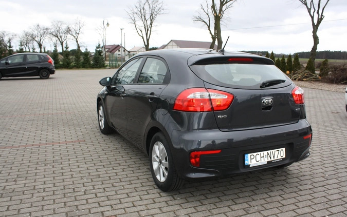 Kia Rio cena 35900 przebieg: 50765, rok produkcji 2016 z Węgliniec małe 106